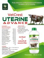 VetCrest Uterine Advance - Image 2